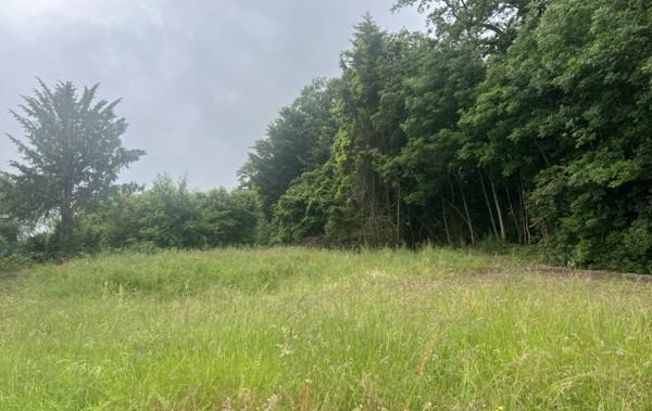 Vente Terrain Puttelange-aux-lacs   