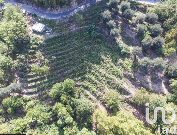 Terrain à vendre 8 551 m² Sainte-Agnès