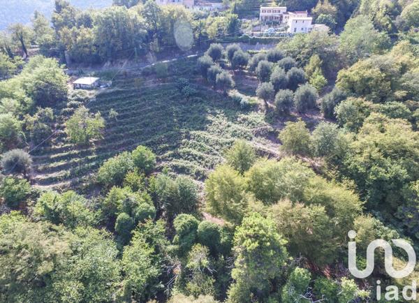 Terrain à vendre 8 551 m² Sainte-Agnès