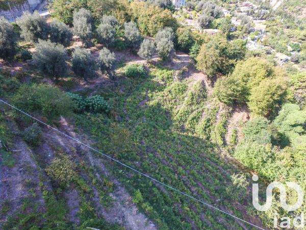 Terrain à vendre 8 551 m² Sainte-Agnès