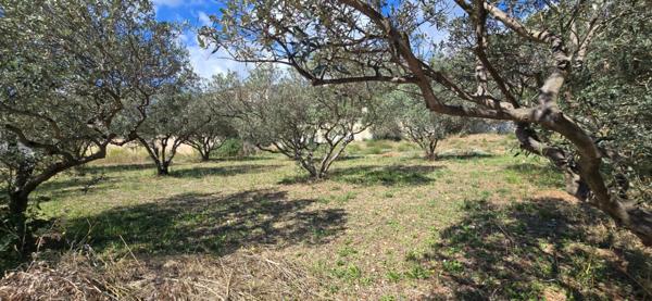 Terrain à vendre LA VALETTE DU VAR (83) Le Partégal