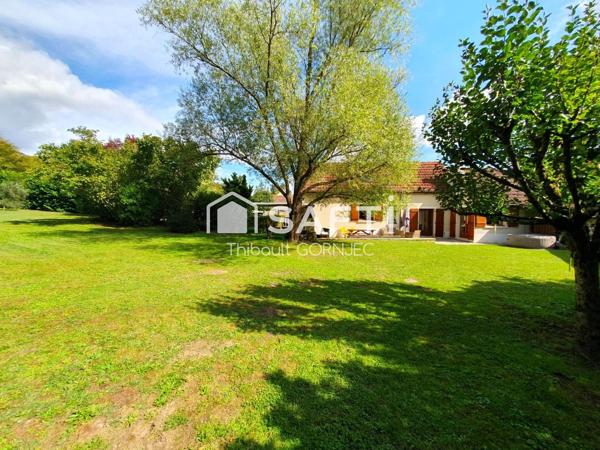 Maison rénovée de 147.5 m² à Bourron-Marlotte : charme, lumière et plafond cathédrale, au cœur d’un magnifique jardin arboré de 1 600 m².