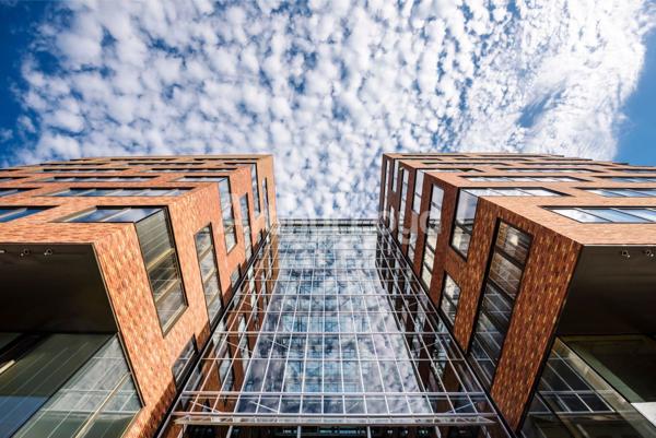 Bureaux à louer à Roubaix au sein de l'écoquartier de l'Union lumineux