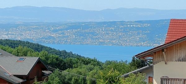 Appartement lumineux de 2 pièces avec grande terrasse, vue imprenable sur le lac Léman