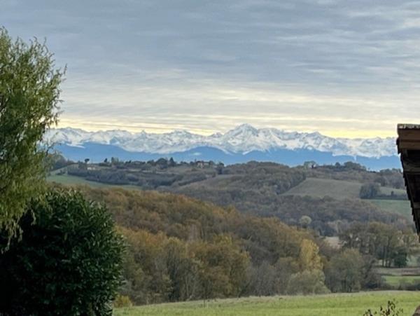 MARCIAC(32) proche, BELLE PROPRIETE GASCONNE 3ha, maison de maitre, 4 gîtes, piscine, boxes à chevaux