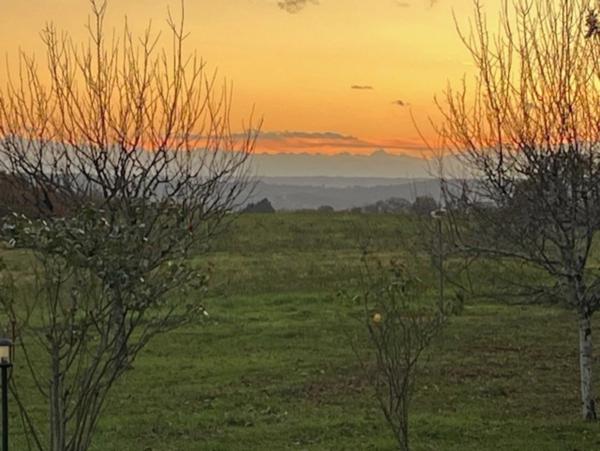 MARCIAC(32) proche, BELLE PROPRIETE GASCONNE 3ha, maison de maitre, 4 gîtes, piscine, boxes à chevaux