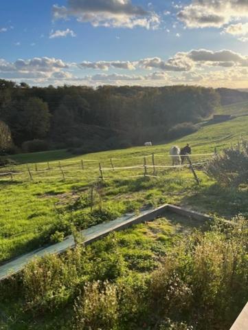 MARCIAC(32) proche, BELLE PROPRIETE GASCONNE 3ha, maison de maitre, 4 gîtes, piscine, boxes à chevaux