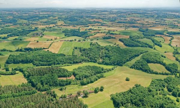 MARCIAC(32) proche, BELLE PROPRIETE GASCONNE 3ha, maison de maitre, 4 gîtes, piscine, boxes à chevaux