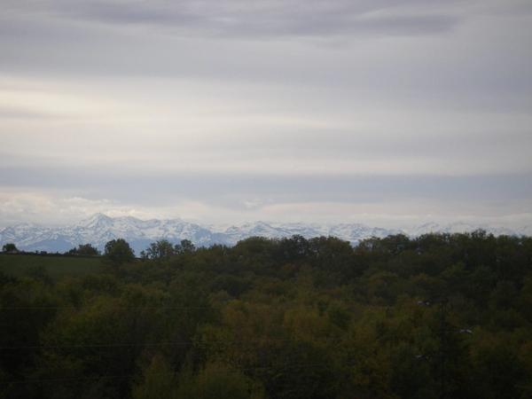 MARCIAC(32) proche, BELLE PROPRIETE GASCONNE 3ha, maison de maitre, 4 gîtes, piscine, boxes à chevaux