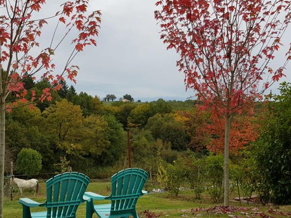 MARCIAC(32) proche, BELLE PROPRIETE GASCONNE 3ha, maison de maitre, 4 gîtes, piscine, boxes à chevaux