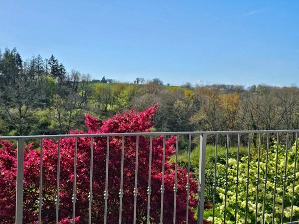 MARCIAC(32) proche, BELLE PROPRIETE GASCONNE 3ha, maison de maitre, 4 gîtes, piscine, boxes à chevaux