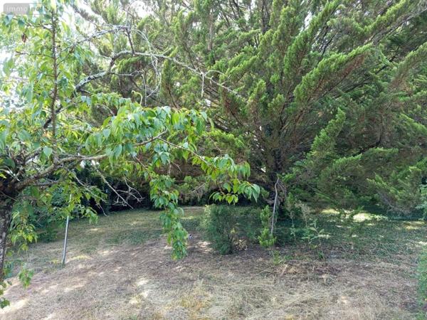Terrain à Batir à vendre à La Croix-en-Touraine dans l'Indre-et-Loire (37150), ref : 021/TB0210