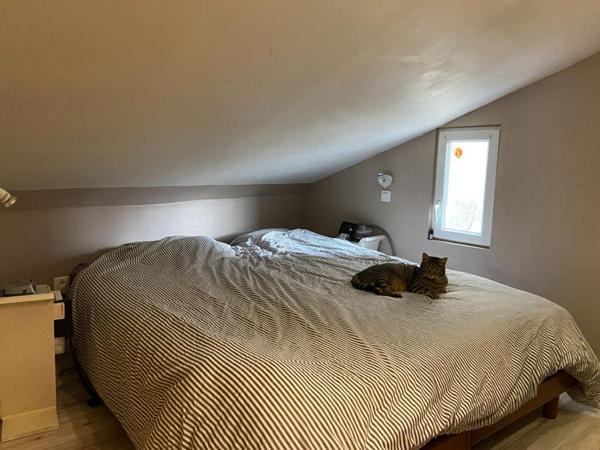 Maison et local commercial- Sable Sur Sarthe 8 pièce(s) 162 m2