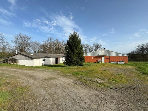 Entrepôt / Local industriel 4518 m2