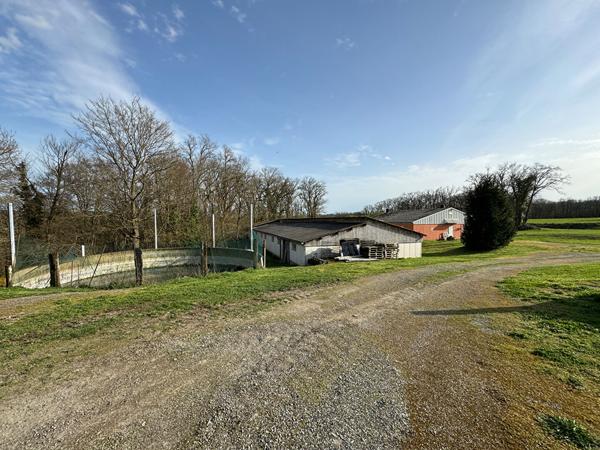 Entrepôt / Local industriel 4518 m2