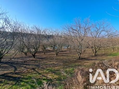 Terrain à vendre 55 000 m² Ozon