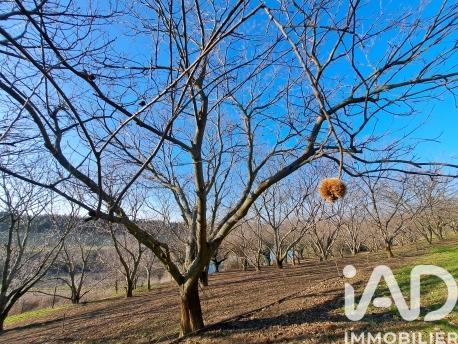 Terrain à vendre 55 000 m² Ozon