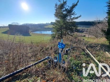 Terrain à vendre 55 000 m² Ozon