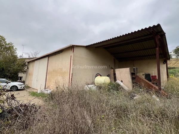 Vente Local commercial 1 pièces 135 m2 à Lieuran-Cabrières
