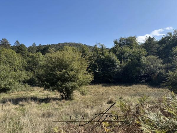 Maison à vendre 11 pièces FOURTOU (11) 5 CHAMBRES + TERRAIN + TERRASSES