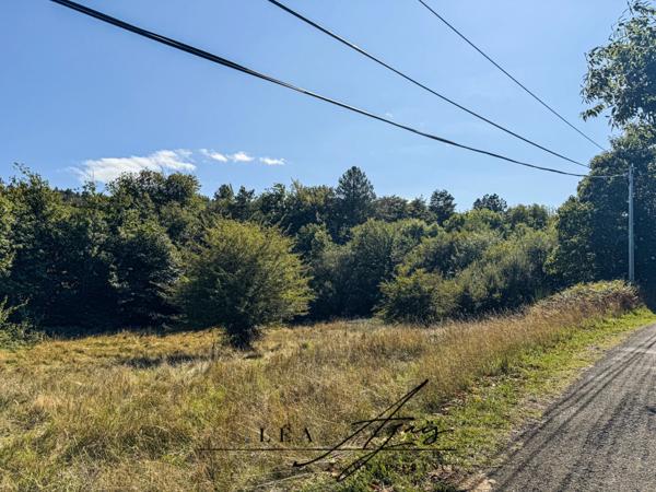 Maison à vendre 11 pièces FOURTOU (11) 5 CHAMBRES + TERRAIN + TERRASSES