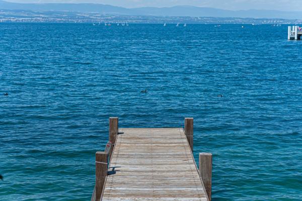 Vente Maison de luxe Thonon-les-Bains 7 Pièces 300 m²