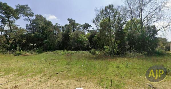 Vente terrain Saint Hilaire De Riez : 96 000 € - AJP Immobilier Vieillevigne