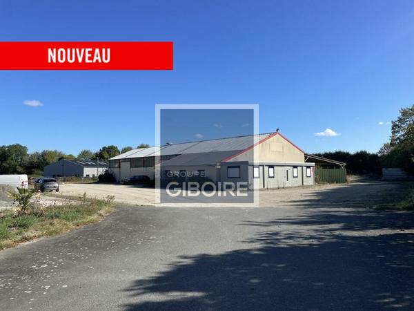 Local d'activites 840 m² à vendre SAINT ARMEL (réf : 35.7367)