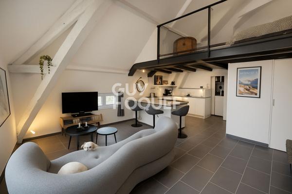 APPARTEMENT DE CHARME . DERNIER ÉTAGE . RÉSIDENCE BOURGEOISE AU CALME ABSOLU . TASSIN-LA-DEMI-LUNE