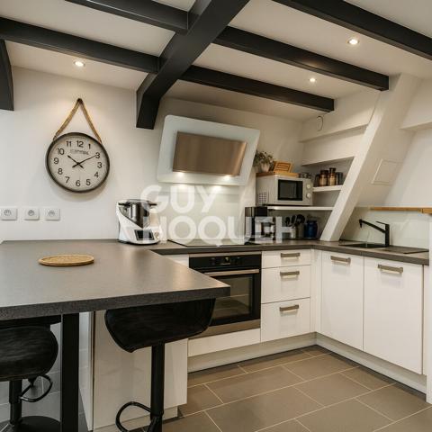 APPARTEMENT DE CHARME . DERNIER ÉTAGE . RÉSIDENCE BOURGEOISE AU CALME ABSOLU . TASSIN-LA-DEMI-LUNE