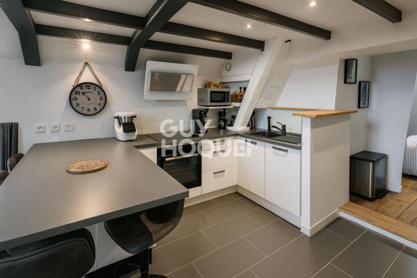 APPARTEMENT DE CHARME . DERNIER ÉTAGE . RÉSIDENCE BOURGEOISE AU CALME ABSOLU . TASSIN-LA-DEMI-LUNE