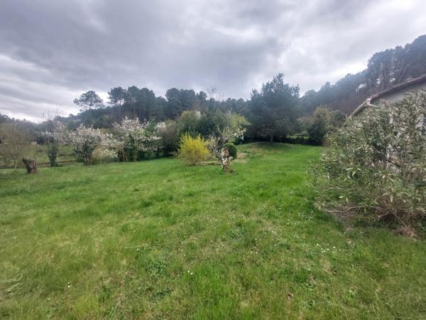 maison 75m2 avec 3000m2 de terrain constructible