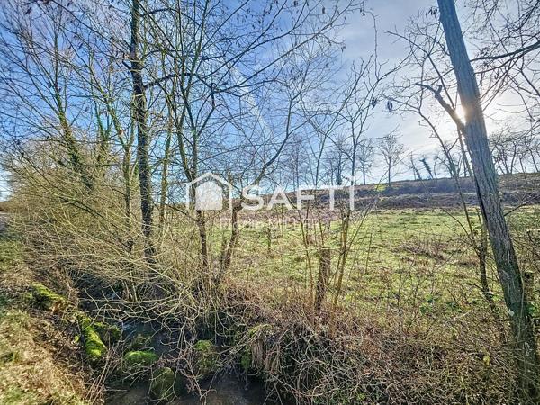 Terrain agricole 7 325m²