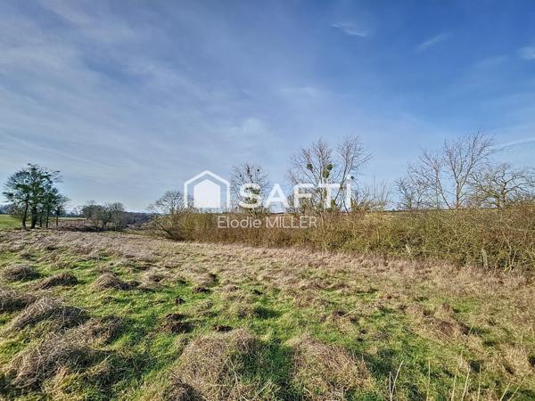 Terrain agricole 7 325m²