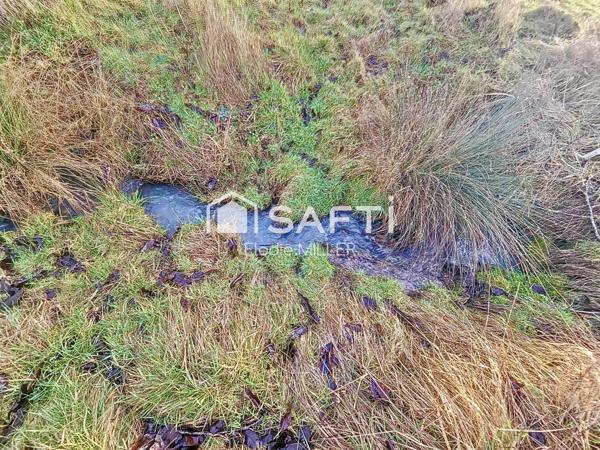 Terrain agricole 7 325m²