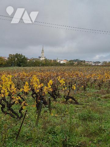 LE LOROUX BOTTEREAU maison de Maître