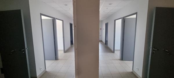 Entrepôt / local industriel Doue En Anjou 1346.50 m2