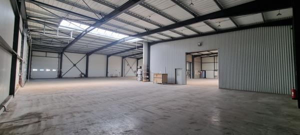 Entrepôt / local industriel Doue En Anjou 1346.50 m2