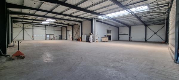 Entrepôt / local industriel Doue En Anjou 1346.50 m2