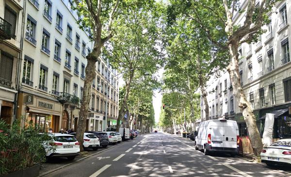 Local Commercial - 50 m²