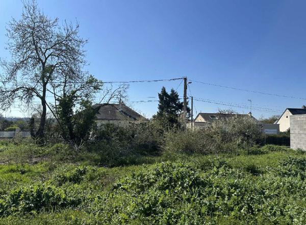 Terrain Montreuil Juigne