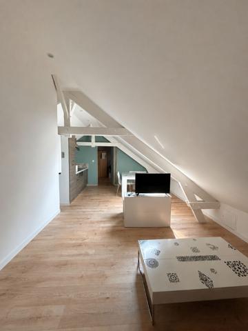 "APPARTEMENT MEUBLÉ 3 PIECES LE MANS 38M2"
