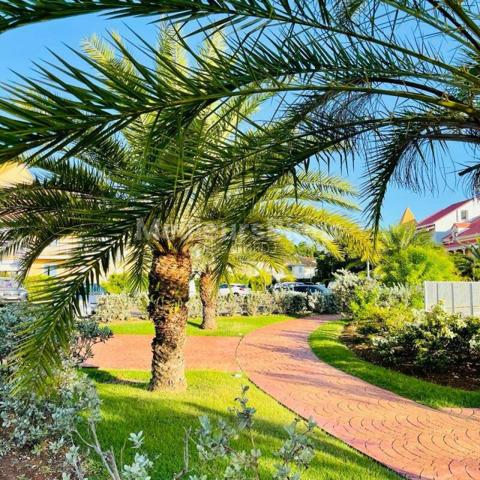 Bas Du Fort T3 meublé