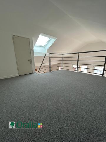 Appartement · Location Miribel (01700) 4 pièces · 100m²