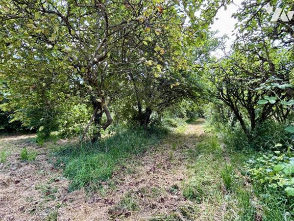 Fermette de 93 m² située sur une parcelle de 11790m²