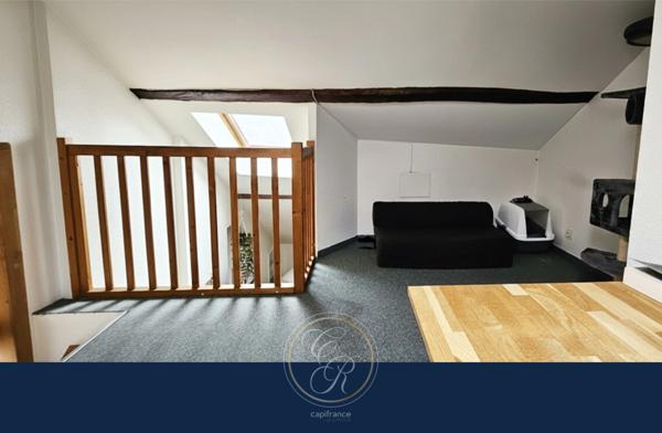 Appartement T3 duplex atypique – Hyper centre – Proche Jardin des Plantes - 75 m² utiles