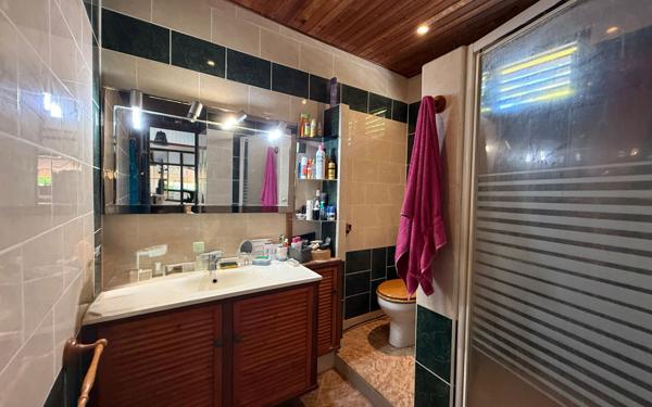 Maison à vendre    8 pièces •  Sainte-Luce