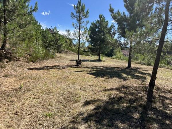 Terrain à vendre |  Beynat |  14560 m²