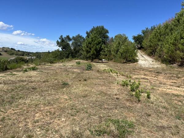 Terrain à vendre |  Beynat |  14560 m²