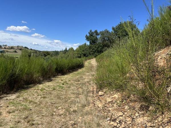 Terrain à vendre |  Beynat |  14560 m²